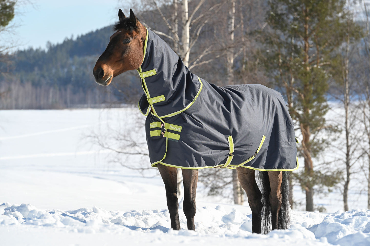 Bucas Oasis 200g Turnout Rug With Neck - Grey/Lime