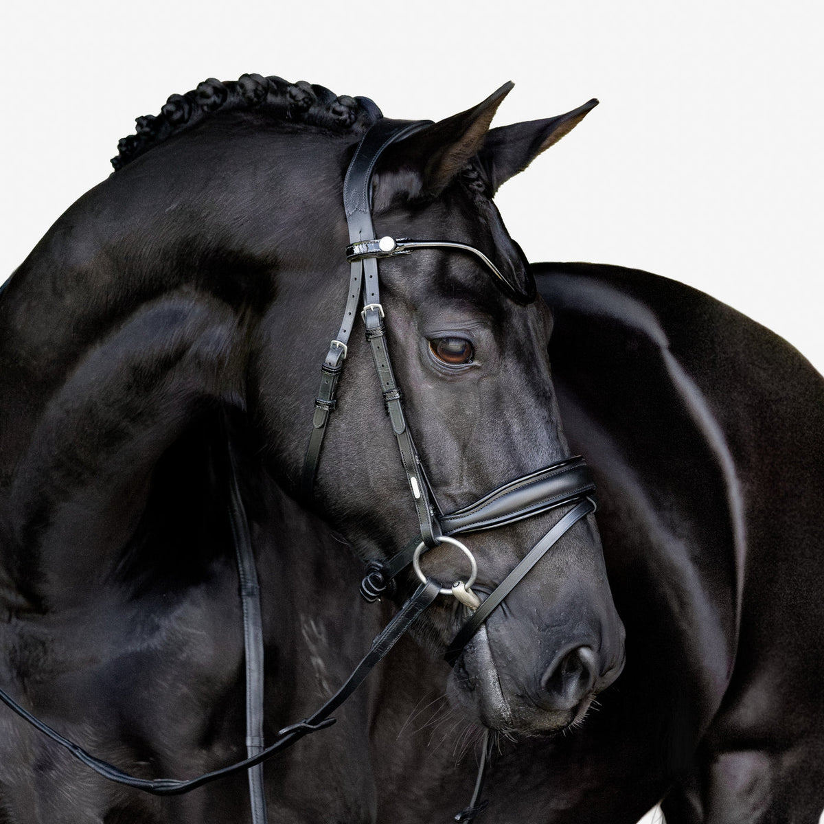 Lumiere Penny Anatomical Padded Leather Bridle with Flash