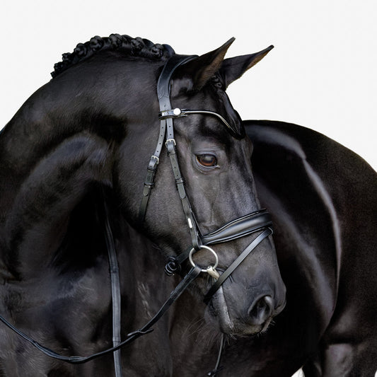 Lumiere Penny Anatomical Padded Leather Bridle with Flash