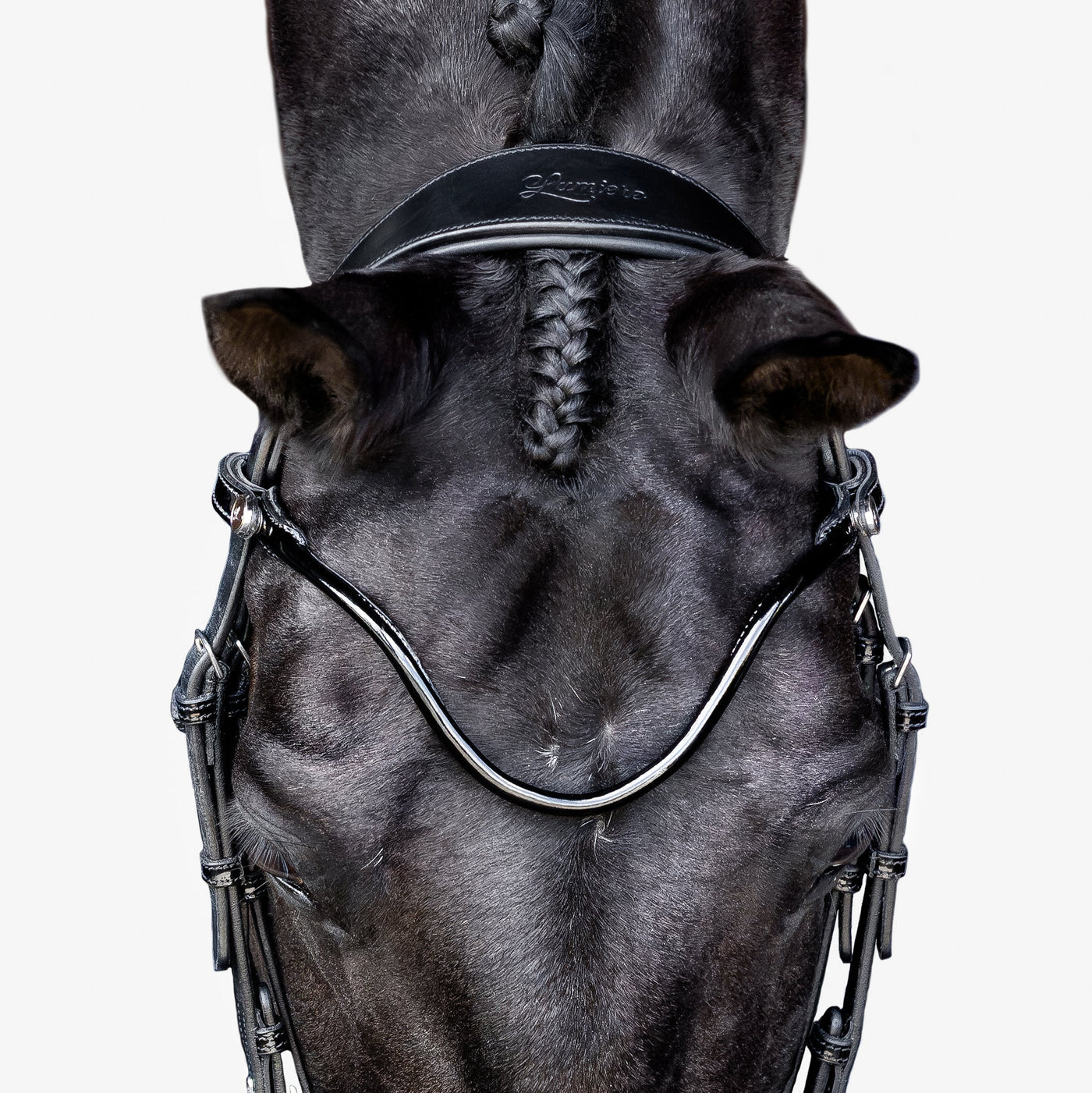 Lumiere Penny Anatomical Padded Leather Bridle with Flash