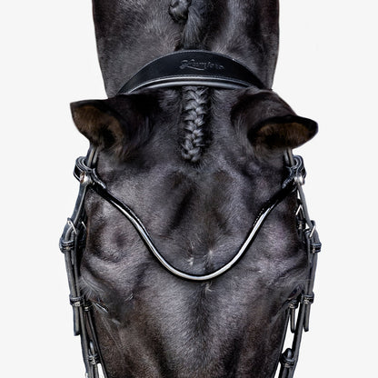 Lumiere Penny Anatomical Padded Leather Bridle with Flash