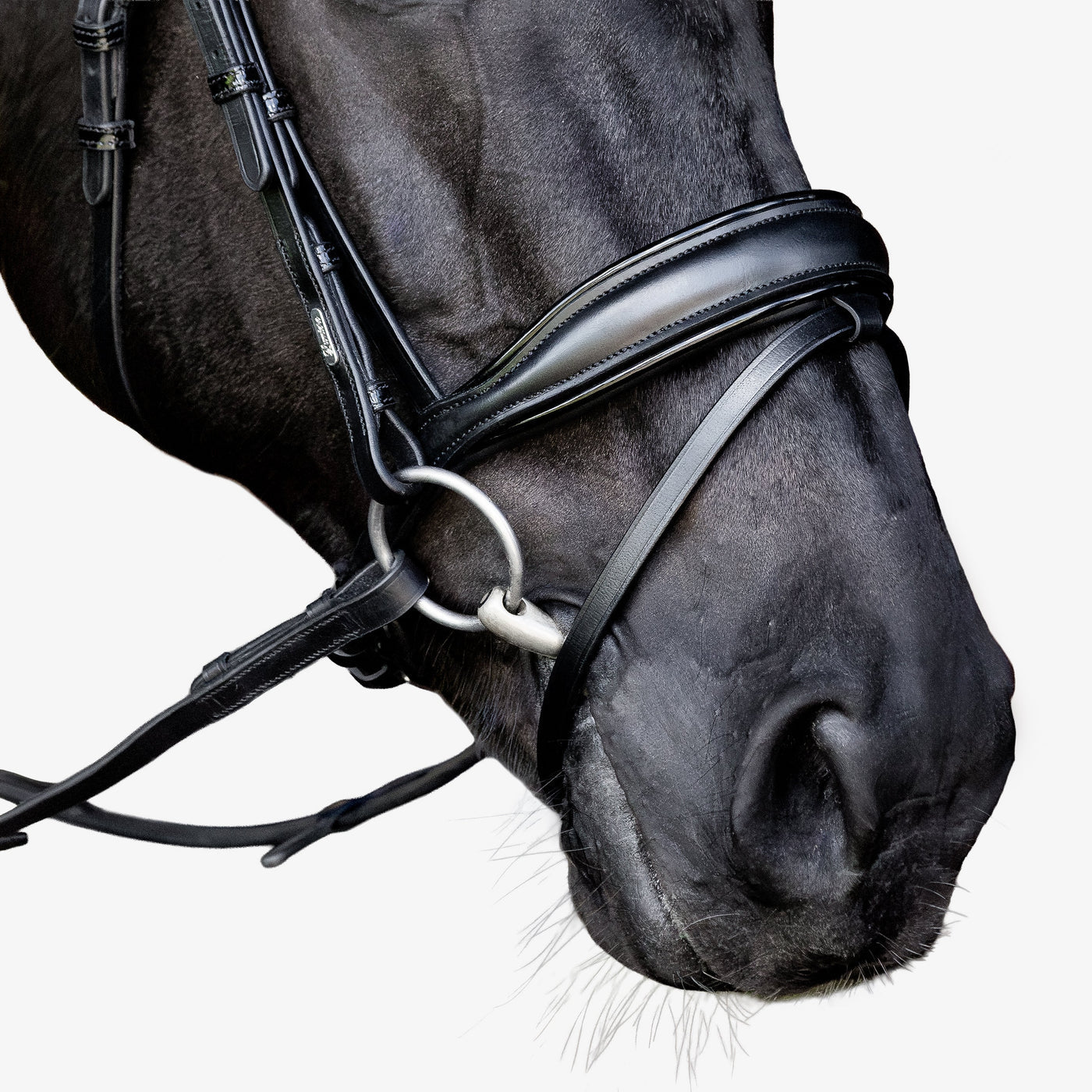 Lumiere Penny Anatomical Padded Leather Bridle with Flash