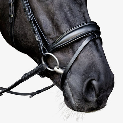 Lumiere Penny Anatomical Padded Leather Bridle with Flash