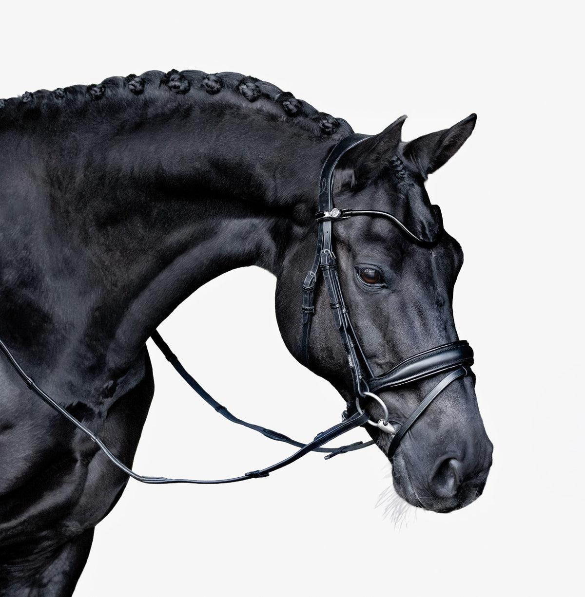 Lumiere Penny Anatomical Padded Leather Bridle with Flash