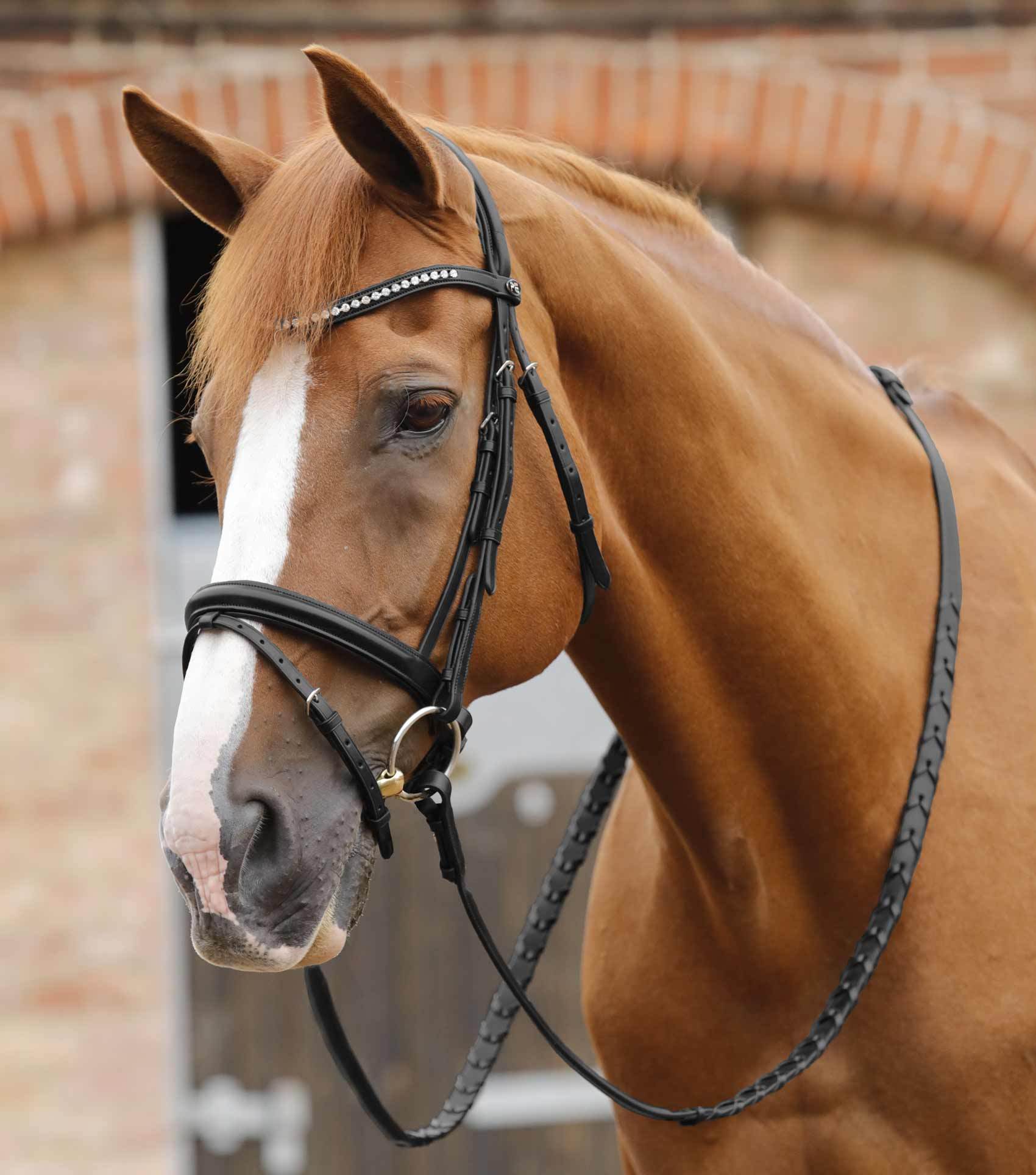 Premier Equine Pietro Laced Reins - N P Equestrian & Pet Supplies Ltd 