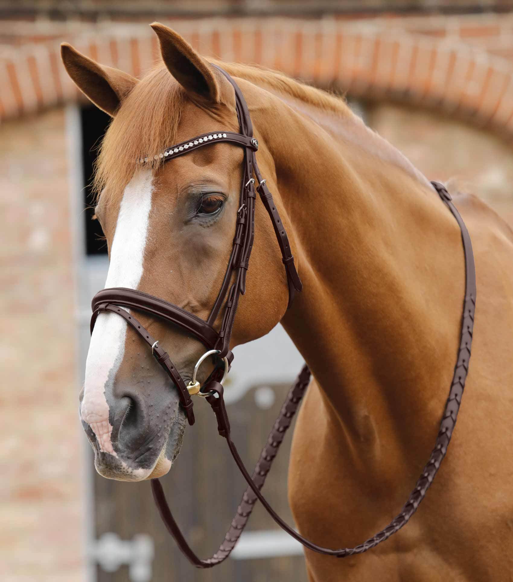 Premier Equine Pietro Laced Reins - N P Equestrian & Pet Supplies Ltd 