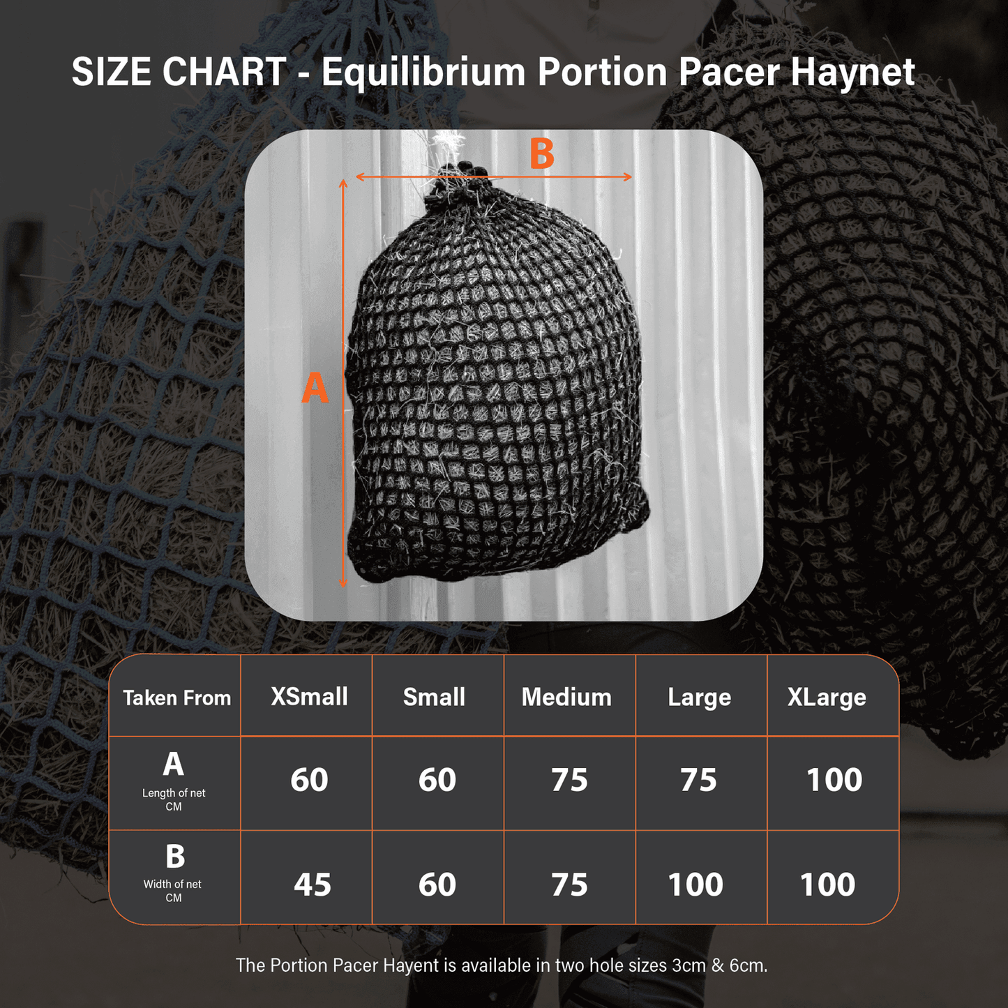 Equilibrium PortionPacer Haynet Slow Feeder - N P Equestrian & Pet Supplies Ltd 