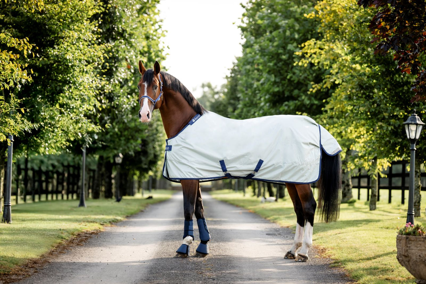 Bucas Power Light 0g Standard Neck Turnout Rug - Silver