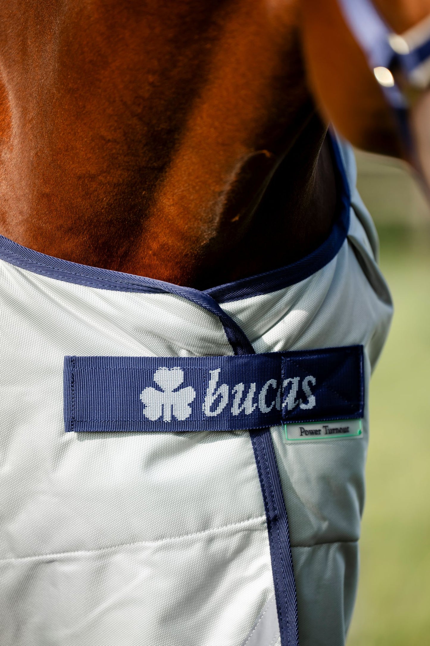Bucas Power Light 0g Standard Neck Turnout Rug - Silver