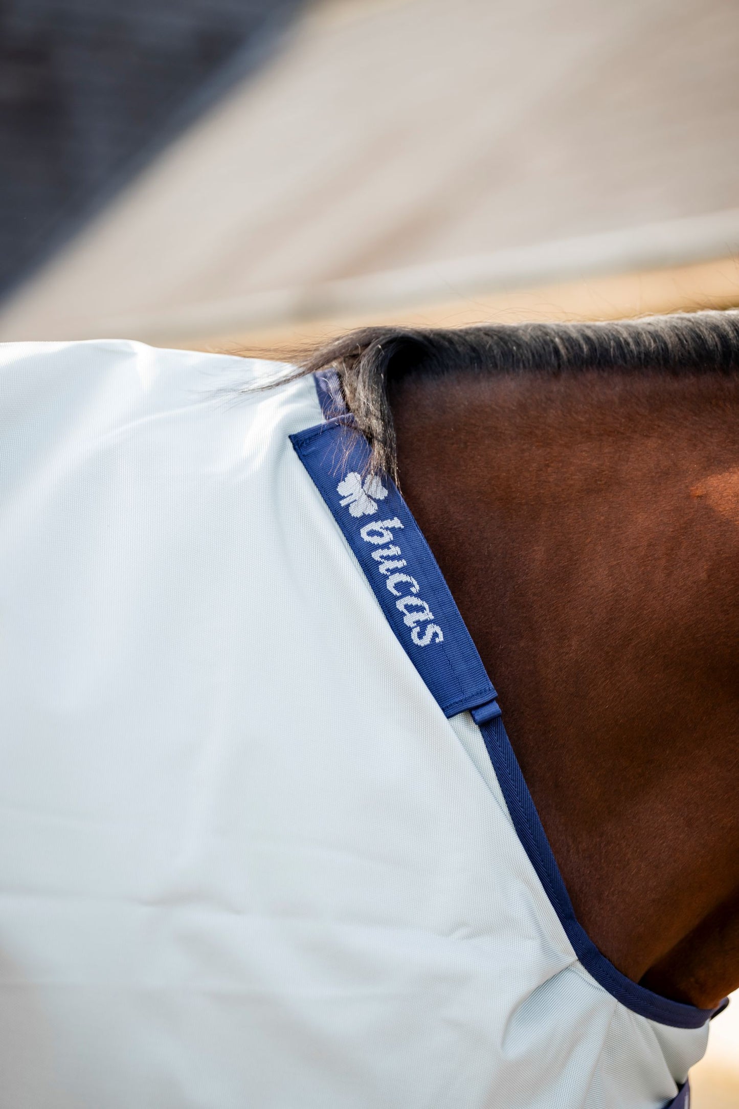 Bucas Power Light 0g Standard Neck Turnout Rug - Silver