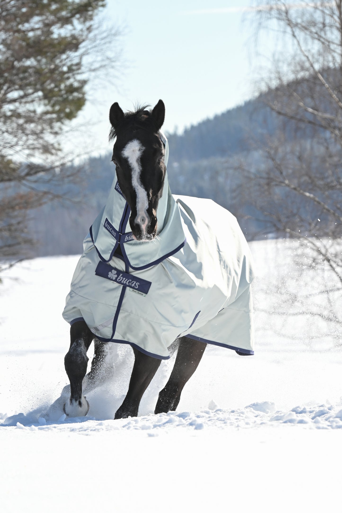 Bucas Power Extra 300g Standard Neck Turnout Rug -  Silver