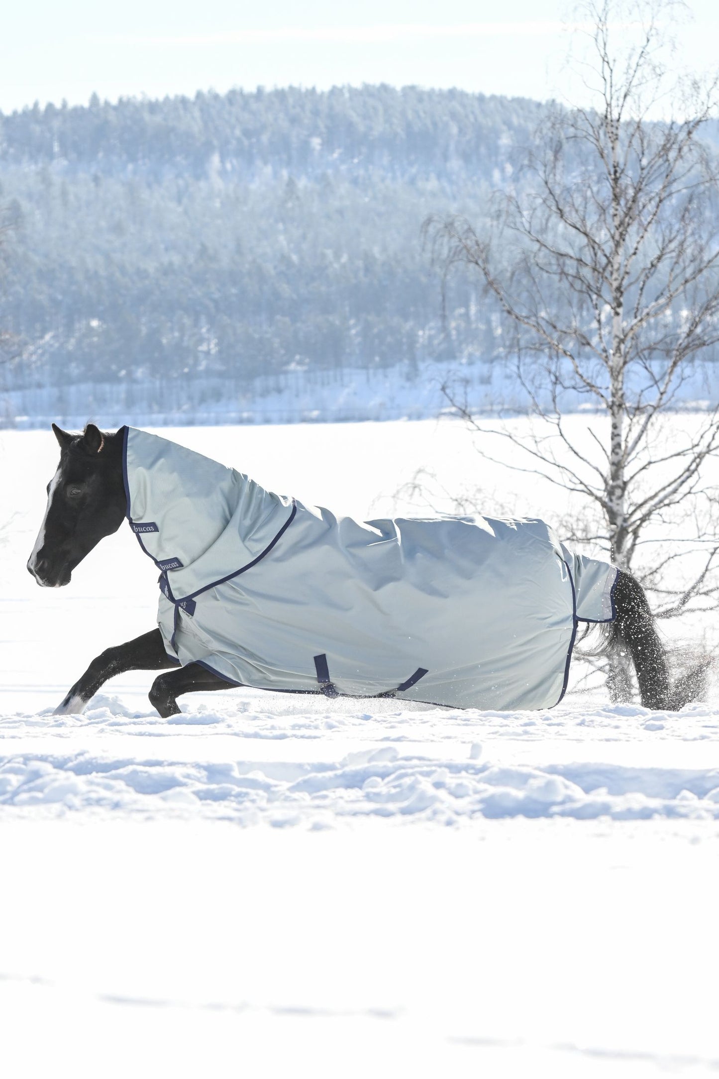 Bucas Power Medium 150g Standard Neck Turnout Rug - Silver