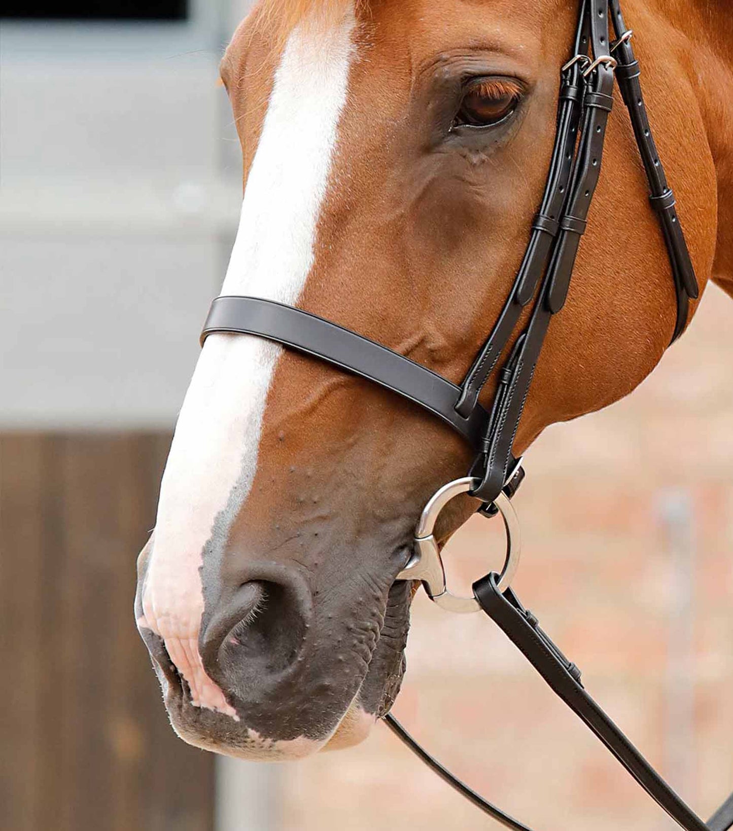 Premier Equine Primo Hunter Cavesson Noseband Black