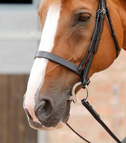 Premier Equine Primo Hunter Cavesson Noseband Black
