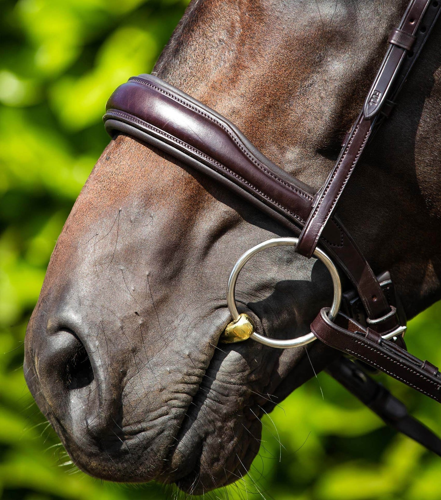 Premier Equine Verdura Anatomic Snaffle Bridle Brown - N P Equestrian & Pet Supplies Ltd 