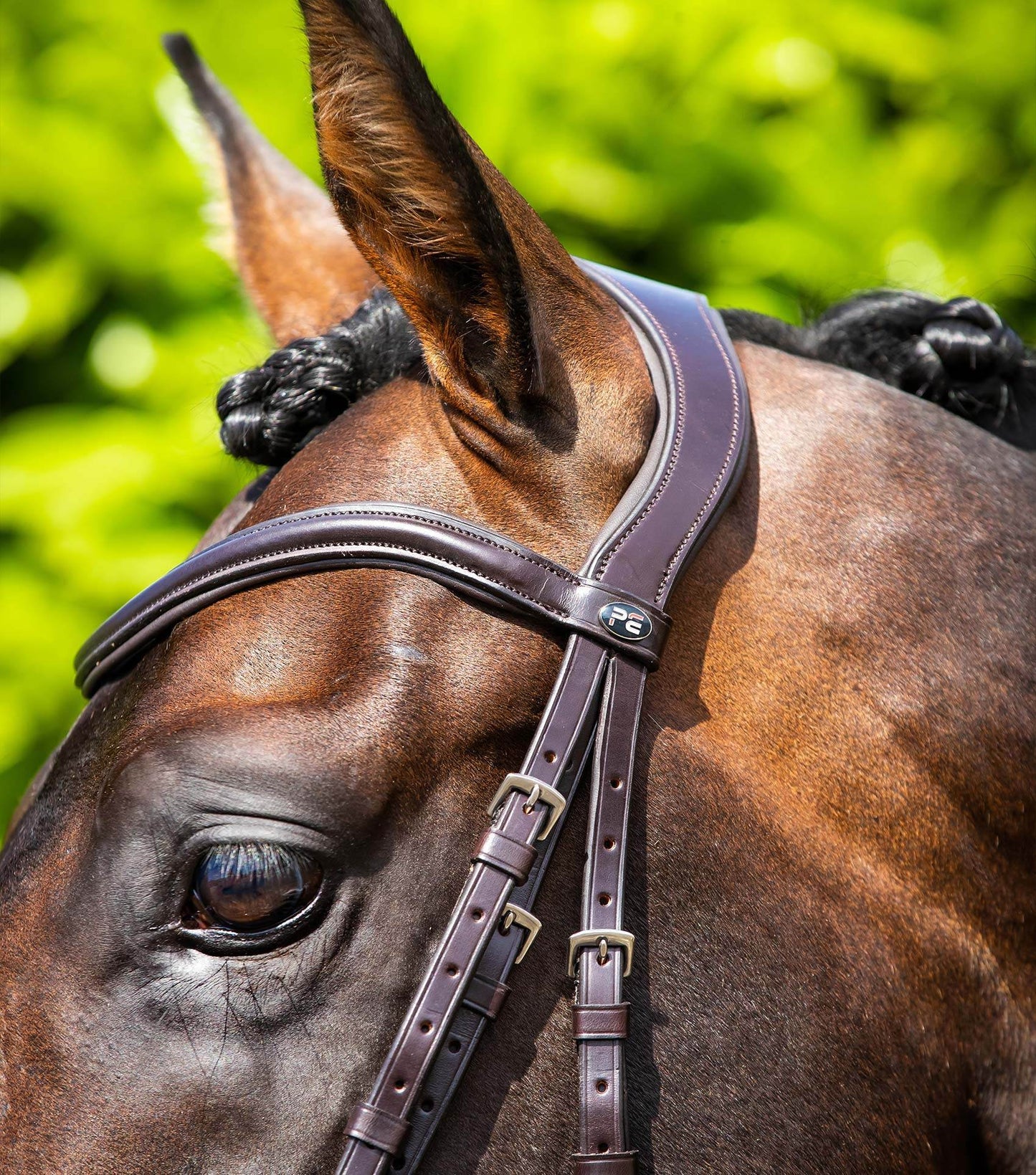 Premier Equine Verdura Anatomic Snaffle Bridle Brown - N P Equestrian & Pet Supplies Ltd 