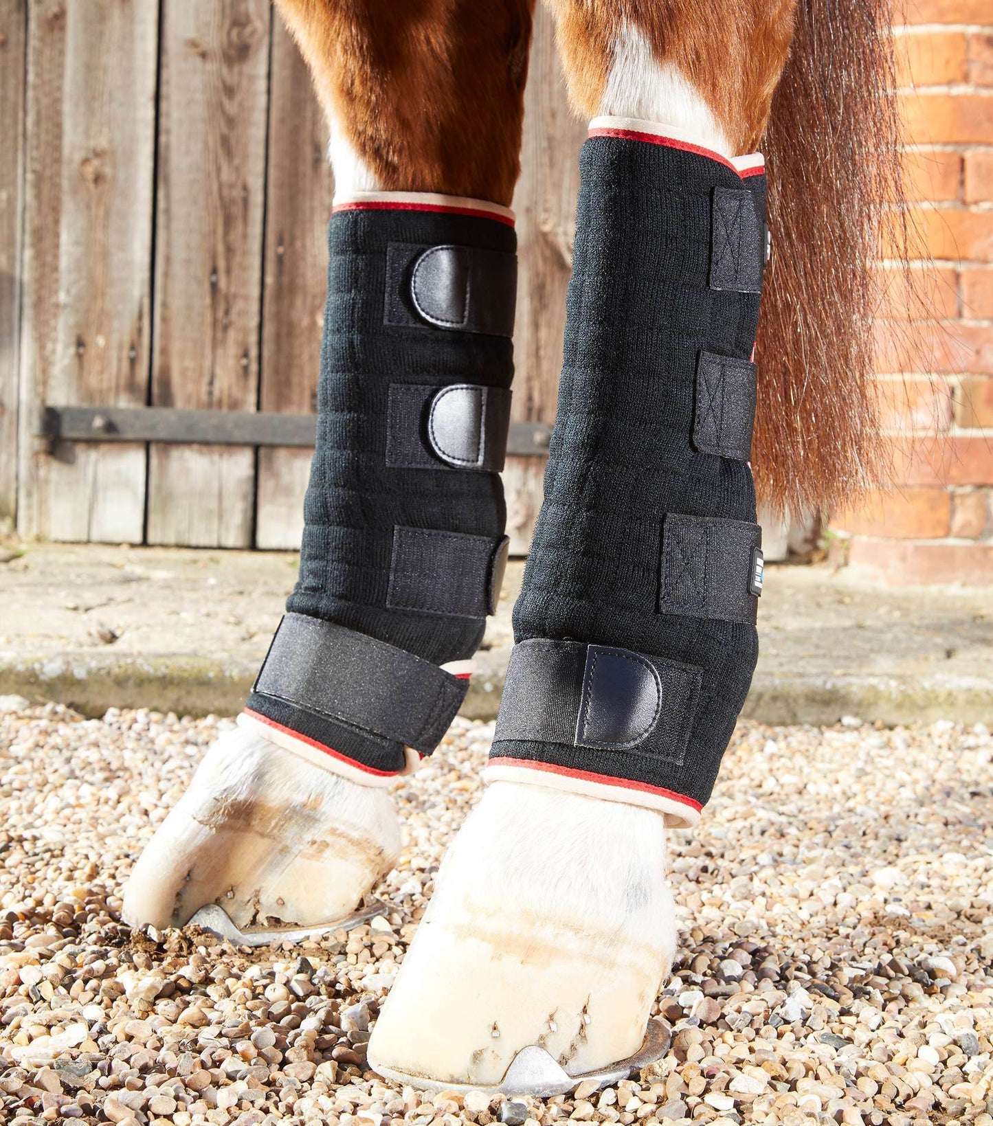 Premier Equine Quick Dry Horse Leg Wraps - N P Equestrian & Pet Supplies Ltd 