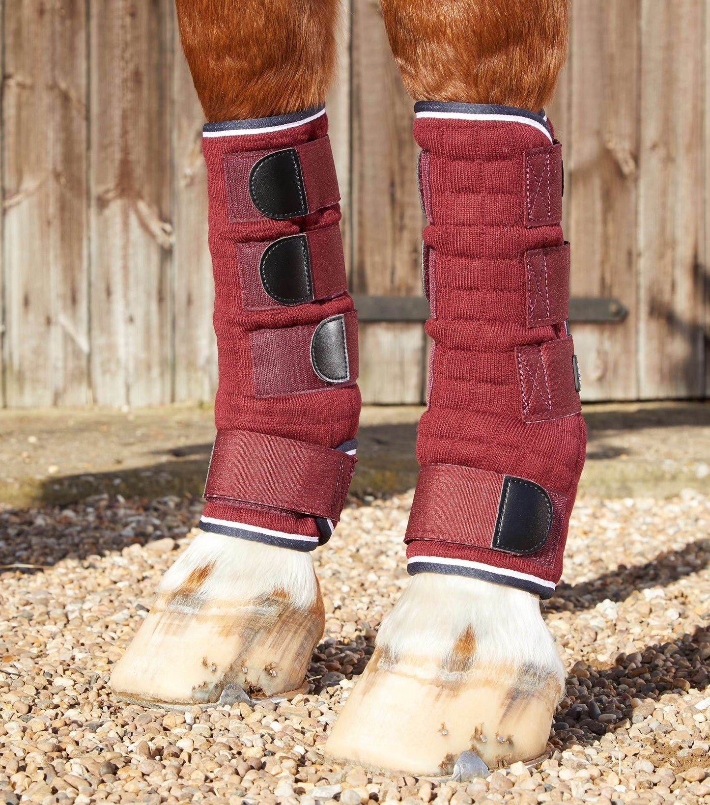 Premier Equine Quick Dry Horse Leg Wraps - N P Equestrian & Pet Supplies Ltd 