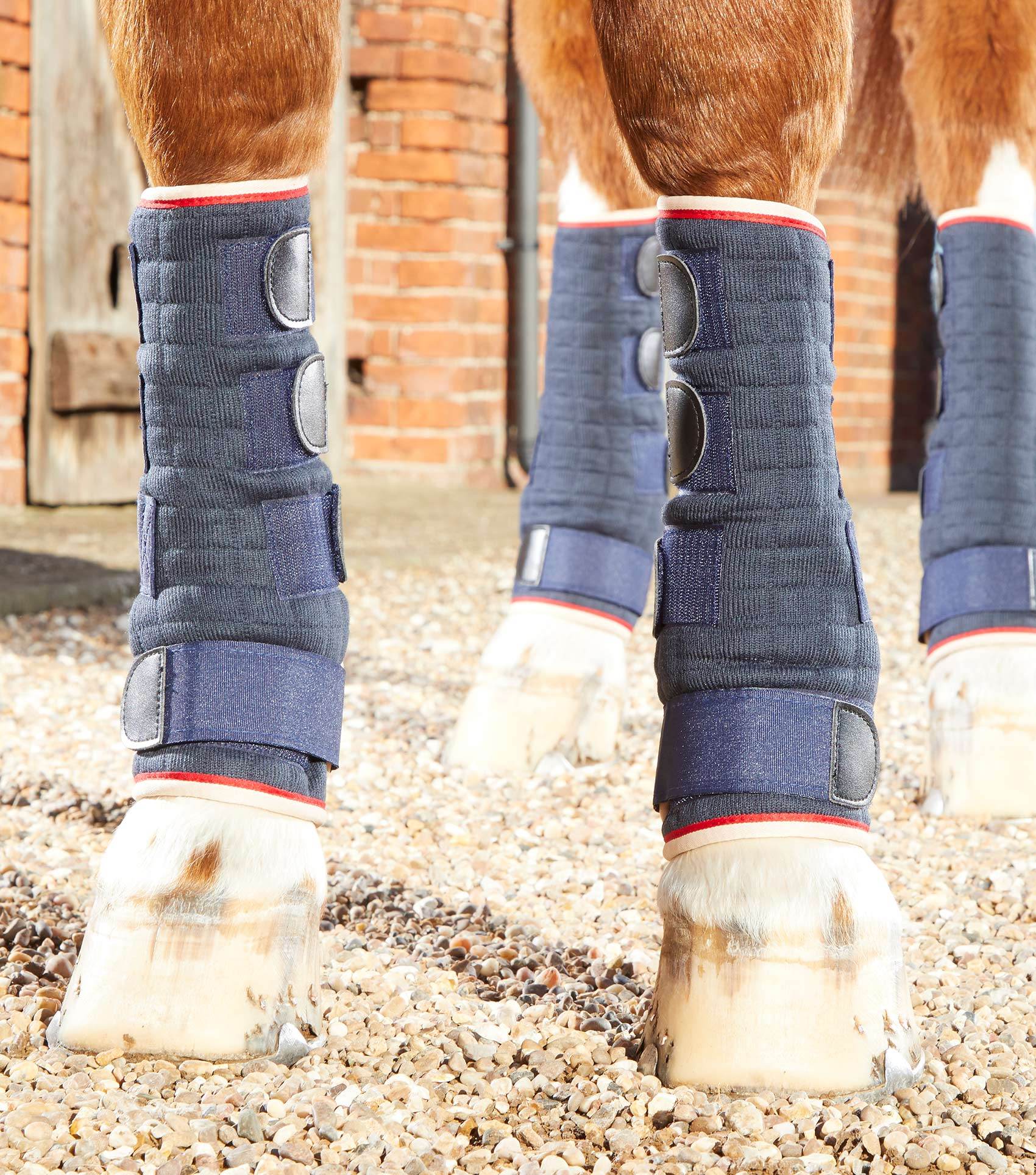 Premier Equine Quick Dry Horse Leg Wraps - N P Equestrian & Pet Supplies Ltd 