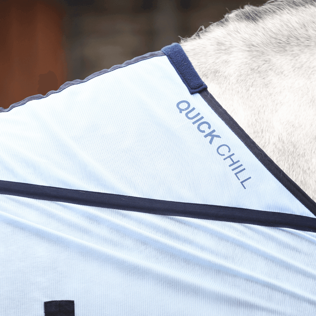 Equilibrium Quick Chill Cool Rug - N P Equestrian & Pet Supplies Ltd 