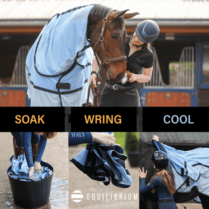Equilibrium Quick Chill Cool Rug Detachable Neck - N P Equestrian & Pet Supplies Ltd 