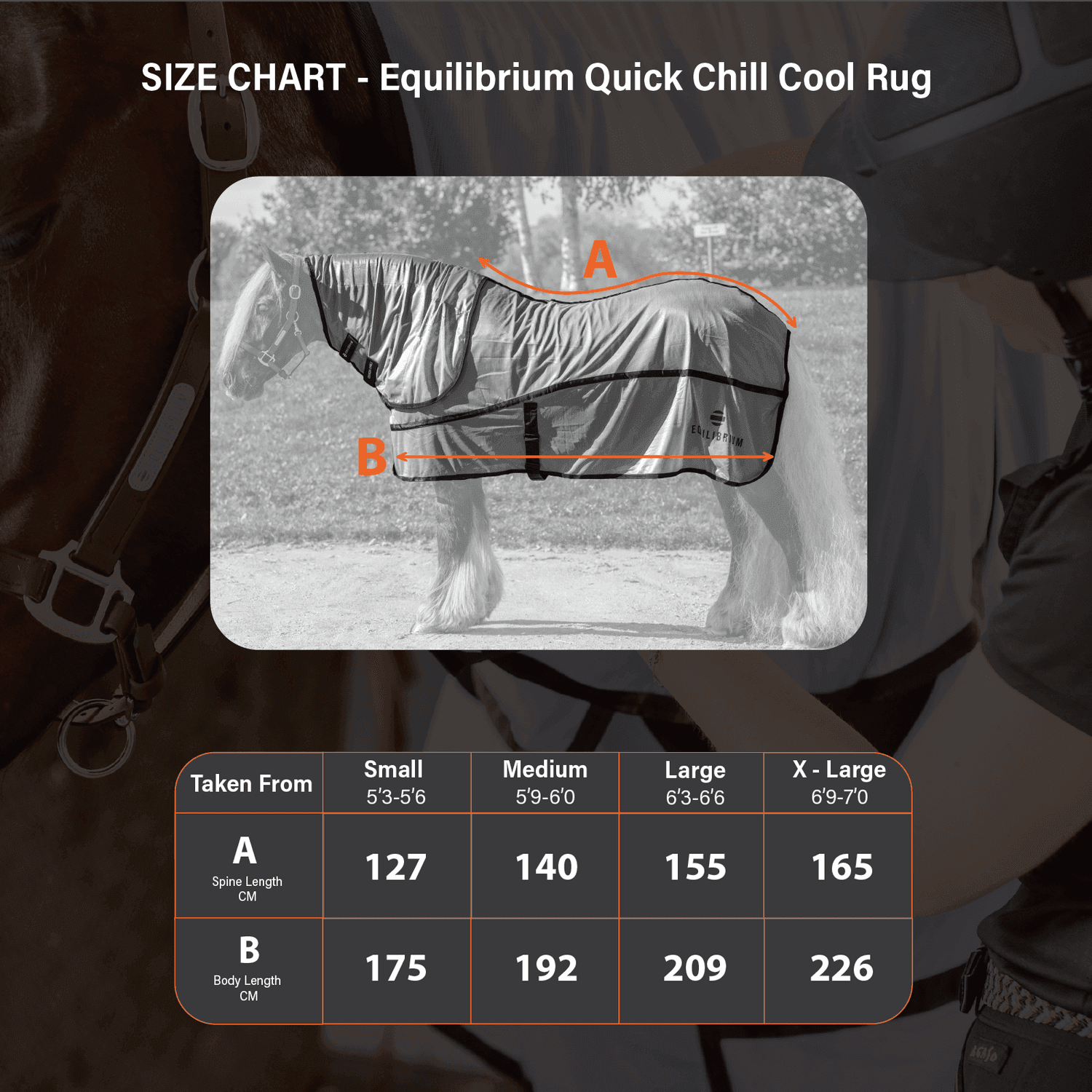 Equilibrium Quick Chill Cool Rug Detachable Neck - N P Equestrian & Pet Supplies Ltd 