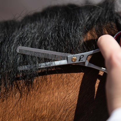 Smart Grooming 6" Single Leg Thinning Scissor
