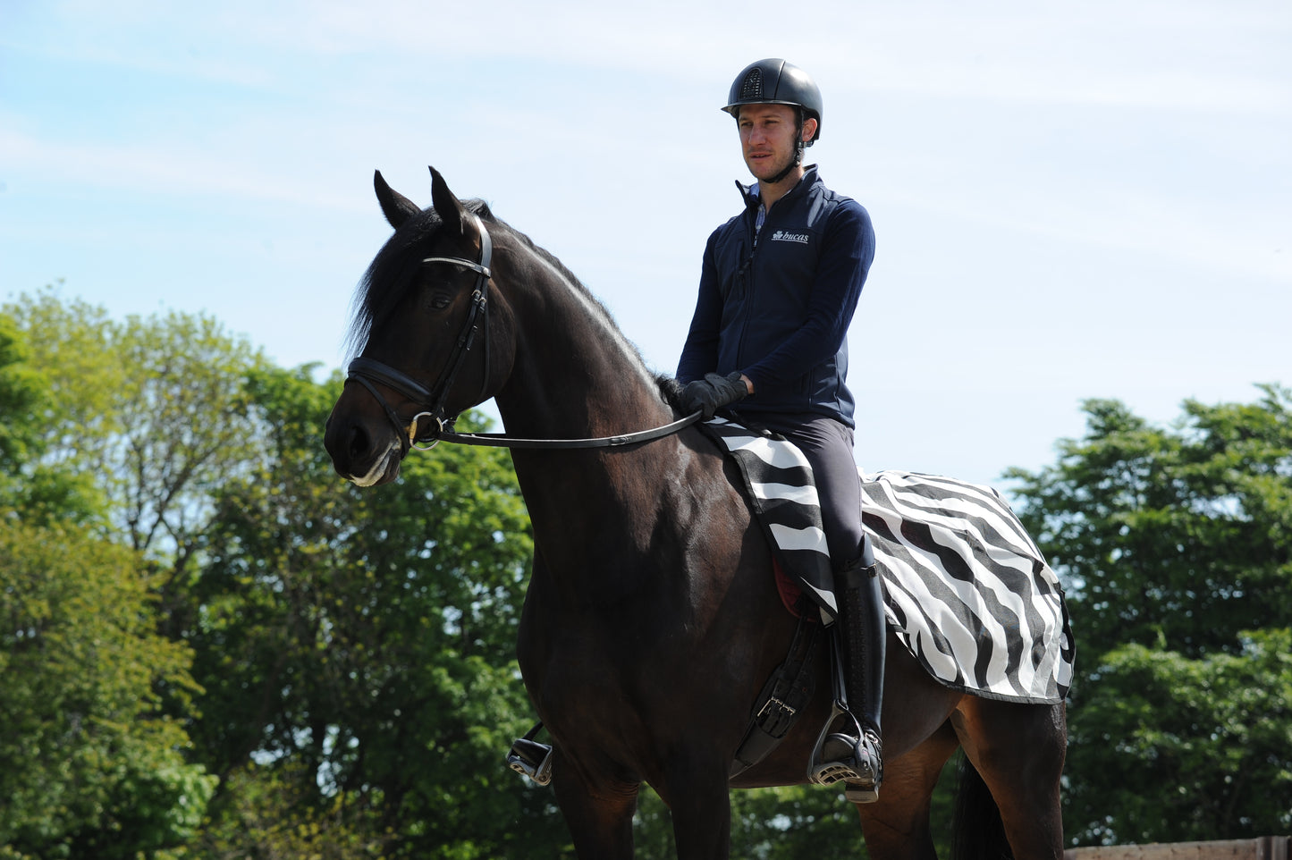 Bucas Buzz-Off Riding Zebra Rug