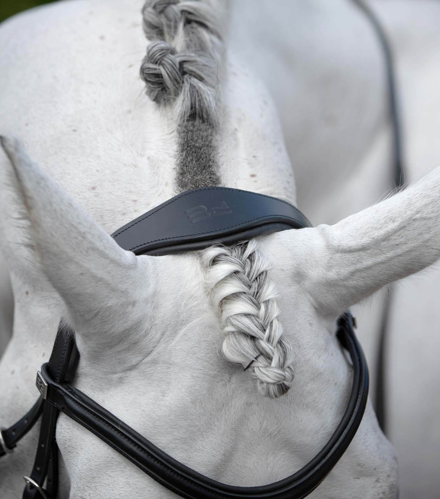 Premier Equine Rizzo Anatomic Snaffle Bridle with Flash - N P Equestrian & Pet Supplies Ltd 