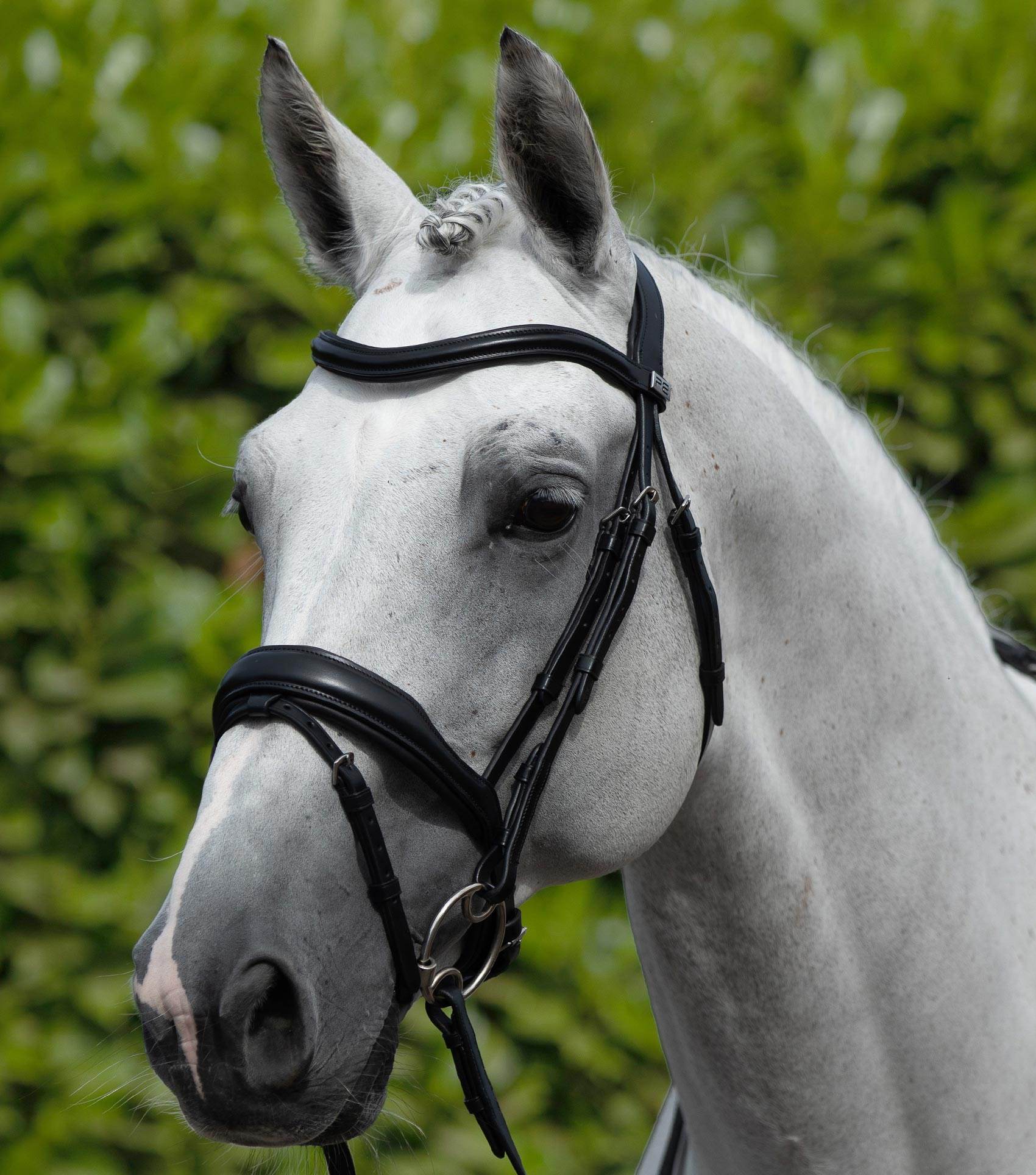 Premier Equine Rizzo Anatomic Snaffle Bridle with Flash - N P Equestrian & Pet Supplies Ltd 