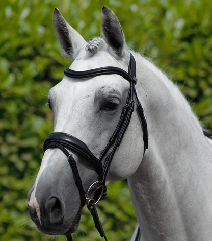 Premier Equine Rizzo Anatomic Snaffle Bridle with Flash - N P Equestrian & Pet Supplies Ltd 