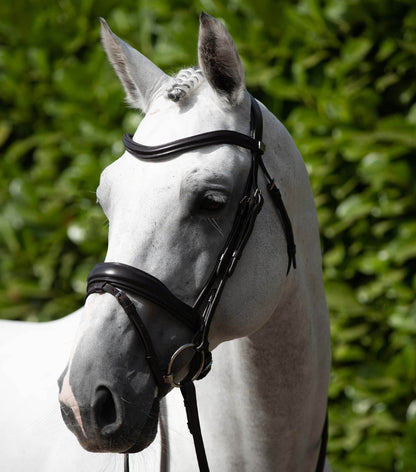 Premier Equine Rizzo Anatomic Snaffle Bridle with Flash - N P Equestrian & Pet Supplies Ltd 