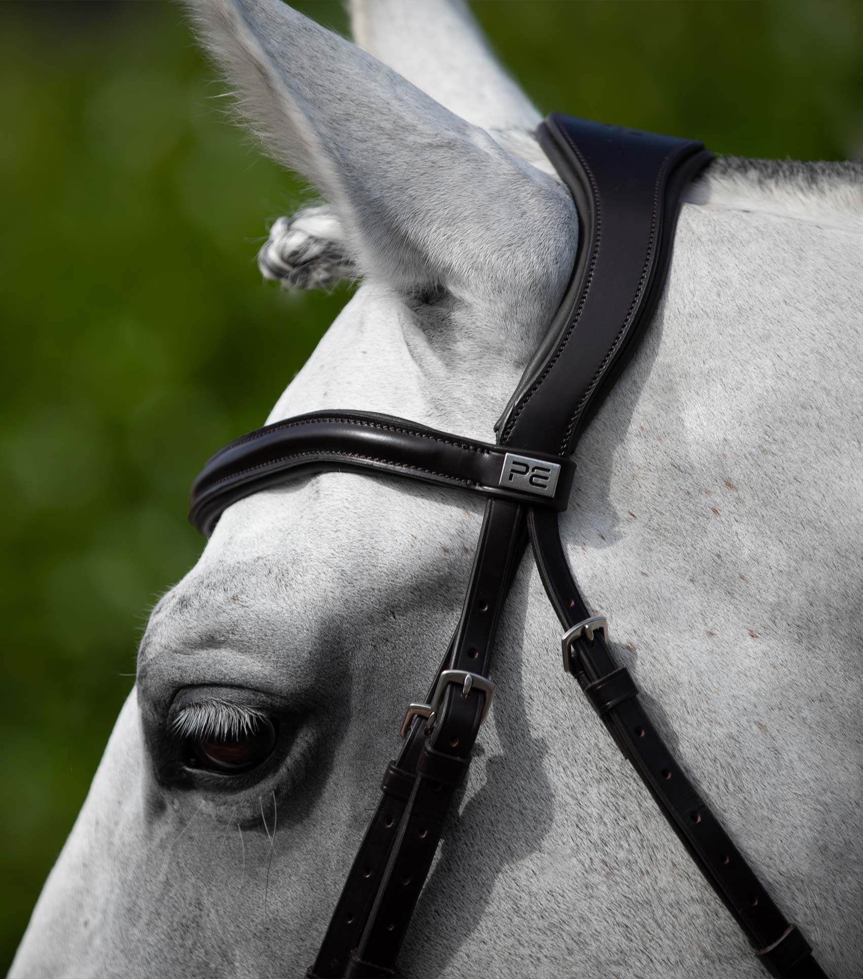 Premier Equine Rizzo Anatomic Snaffle Bridle with Flash - N P Equestrian & Pet Supplies Ltd 
