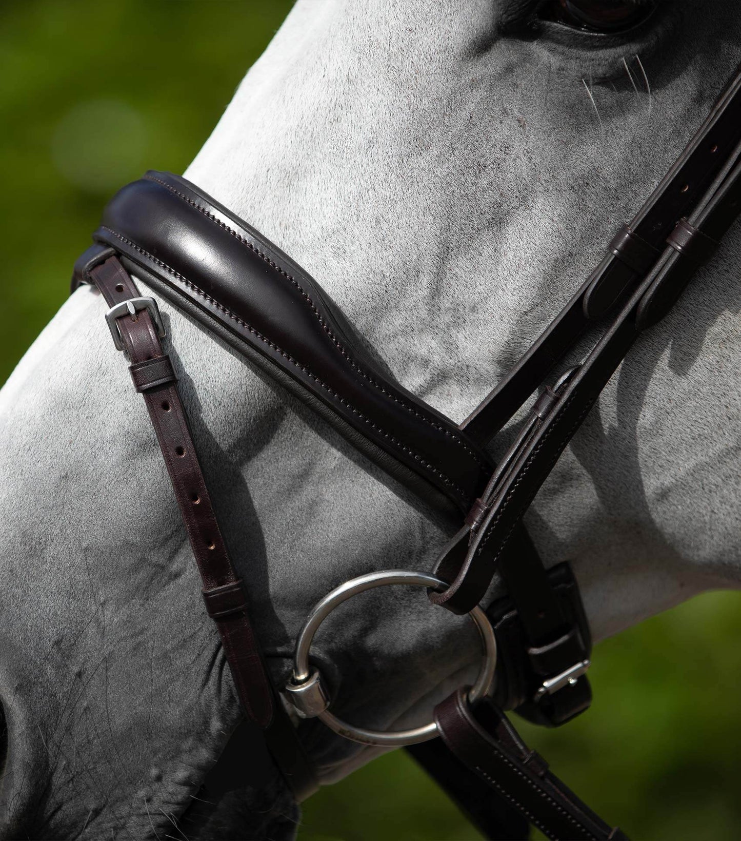 Premier Equine Rizzo Anatomic Flash Noseband Brown - N P Equestrian & Pet Supplies Ltd 