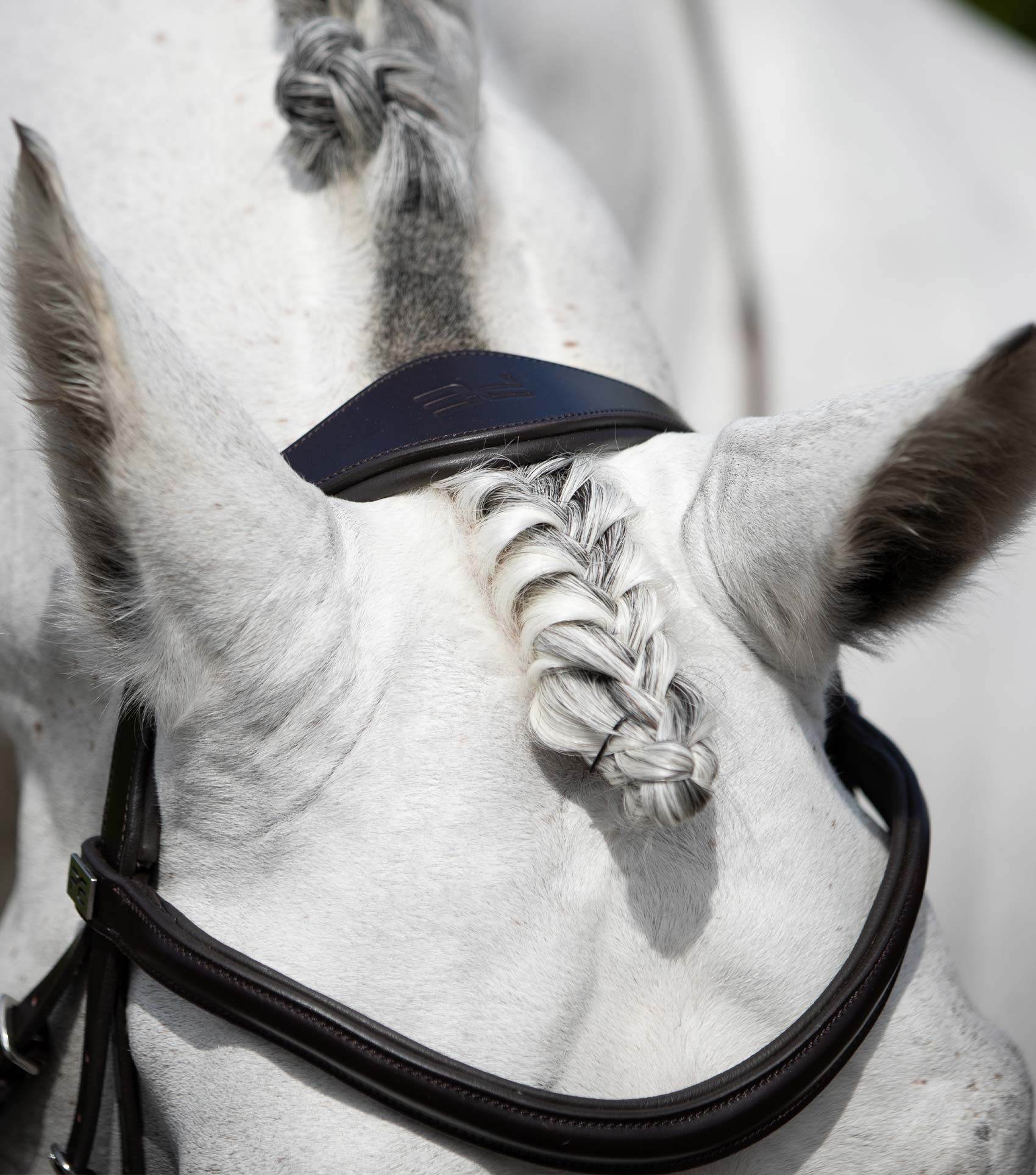 Premier Equine Rizzo Anatomic Snaffle Bridle with Flash - N P Equestrian & Pet Supplies Ltd 