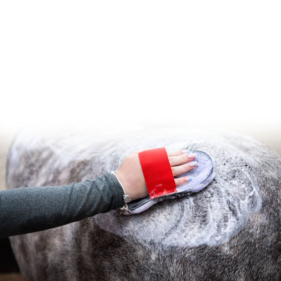 Smart Grooming Super Groomer