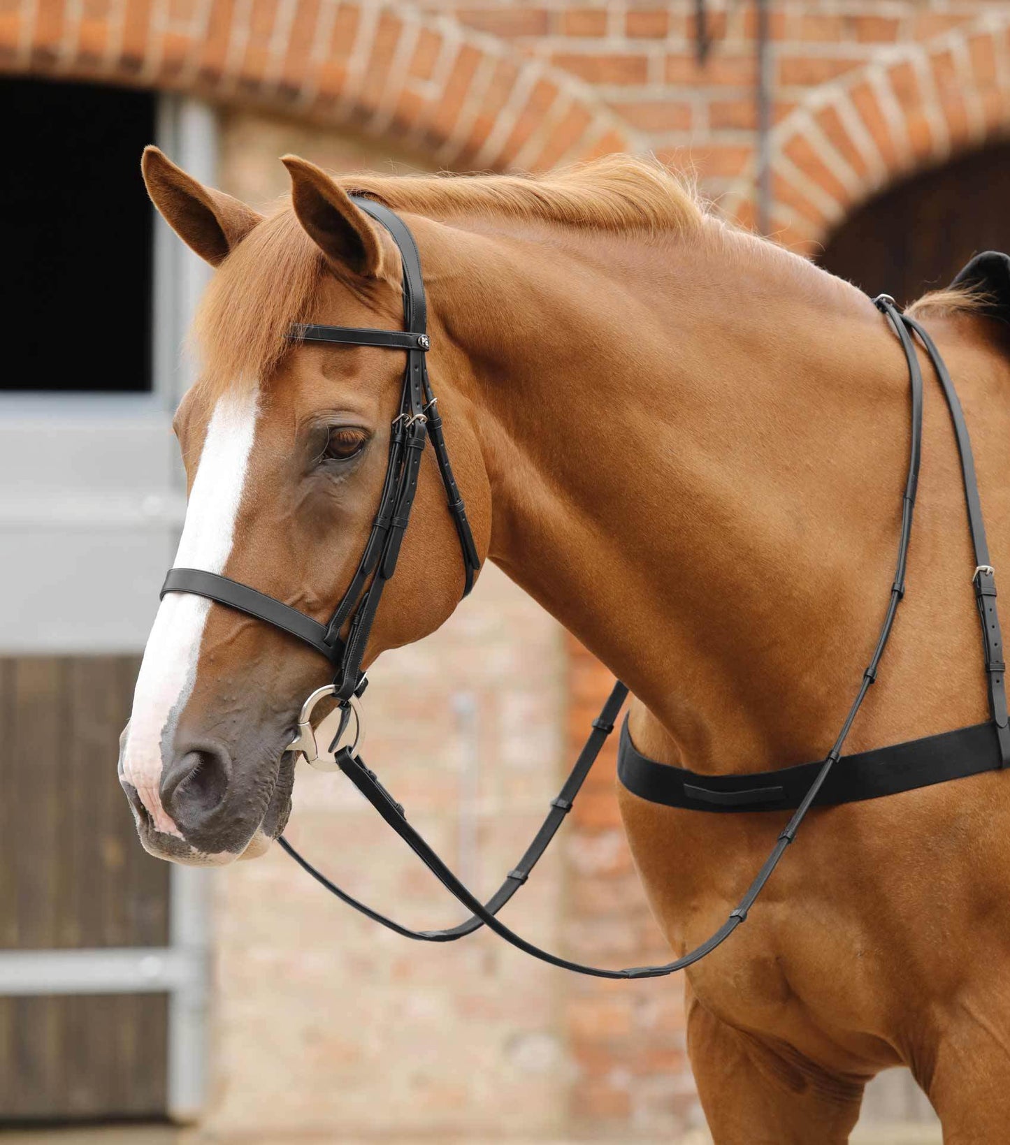 Premier Equine Salvatore Rubber & Leather Grip Reins - N P Equestrian & Pet Supplies Ltd 
