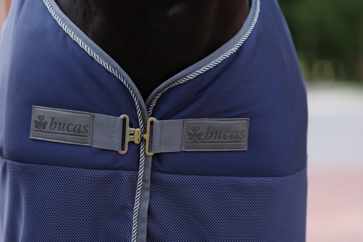 Bucas Show-Line Competition Cooler - Navy/Grey
