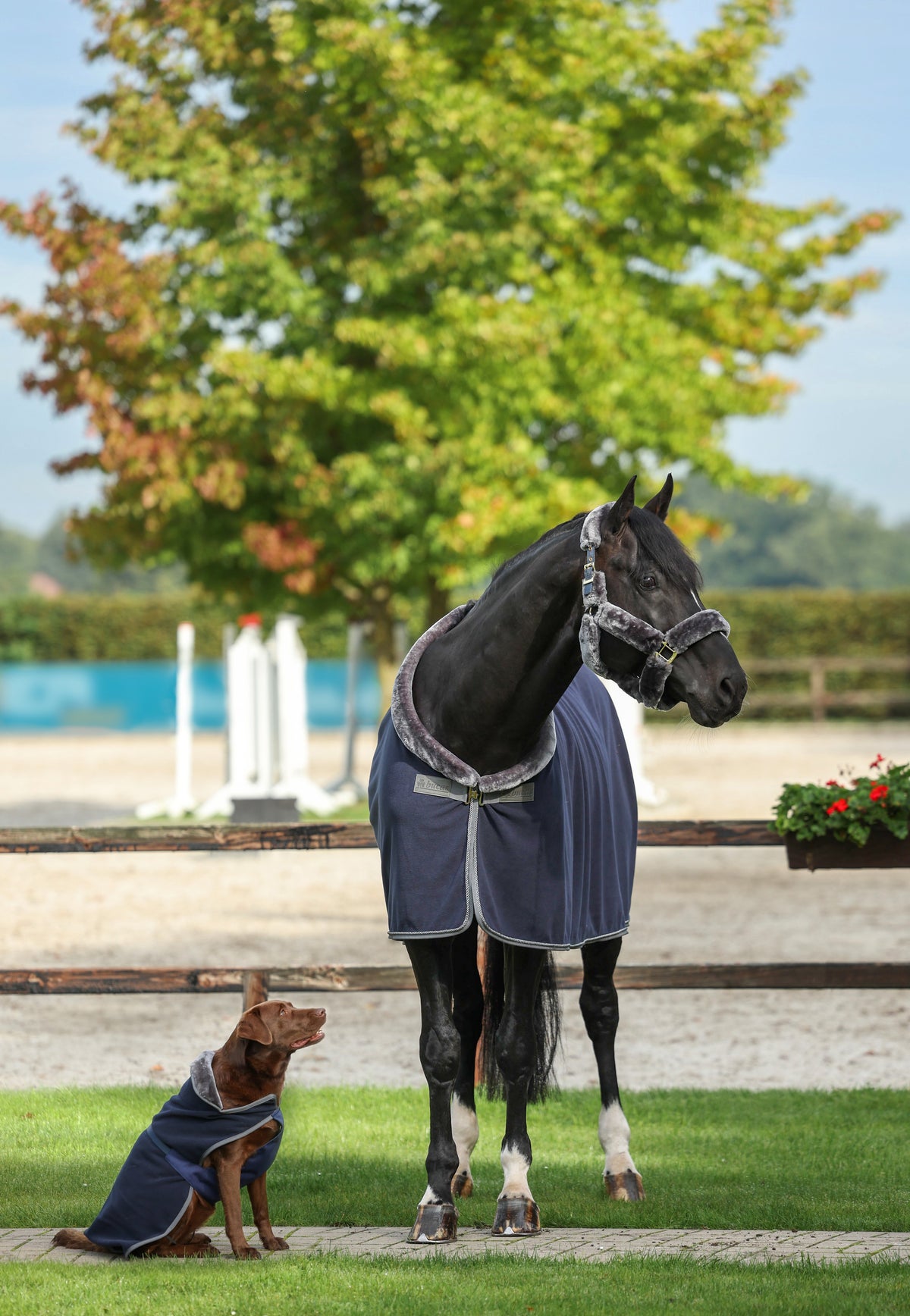 Bucas Show-Line 600g Fleece Rug - Navy/Grey