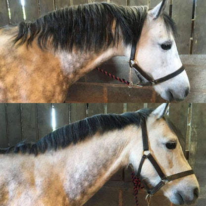 Smart Manes Thinners
