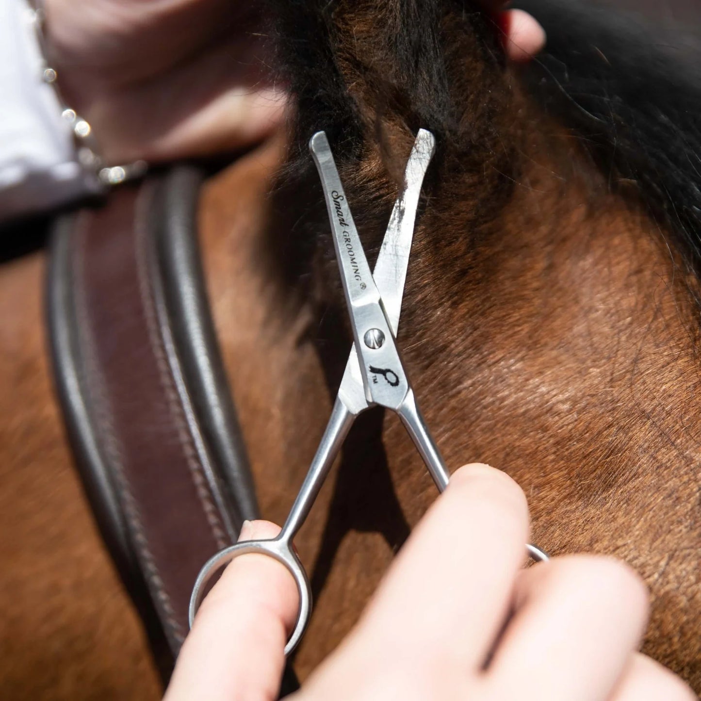 Smart Grooming 4.5″ Paw Round End Safety Scissors