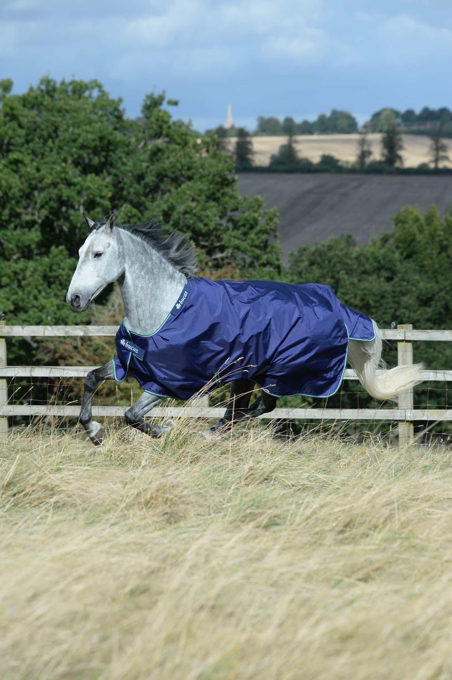 Bucas Smartex Medium 150g Standad Neck Turnout Rug - Blue