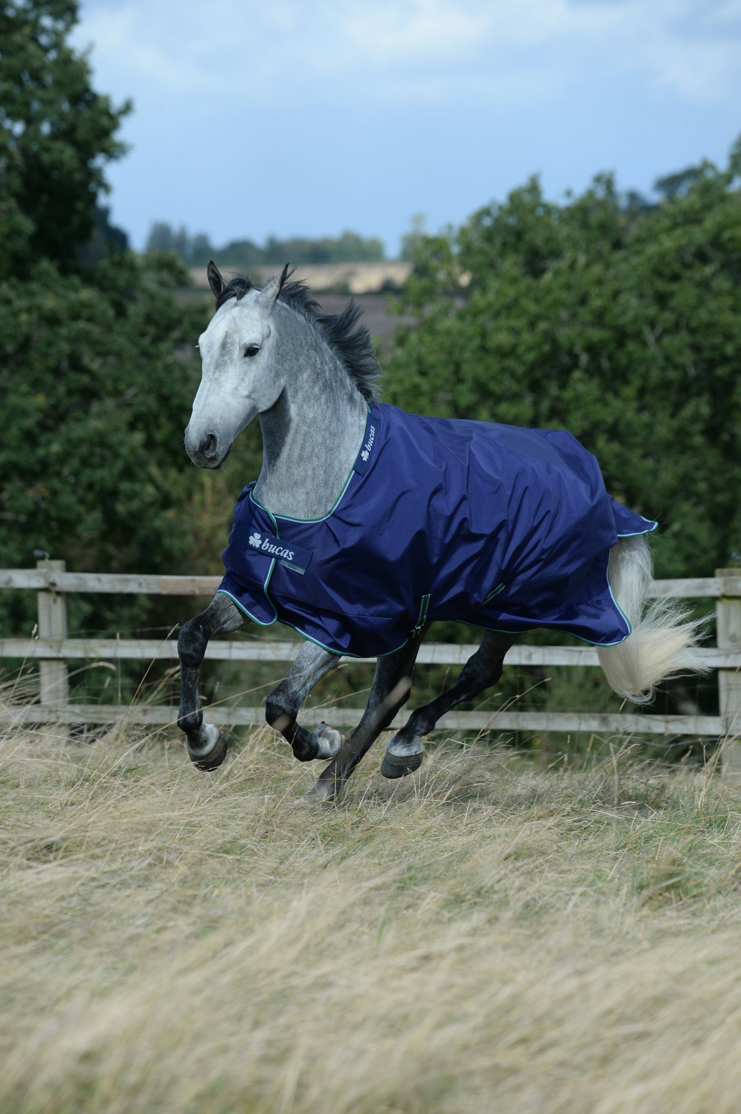 Bucas Smartex Medium 150g Standad Neck Turnout Rug - Blue