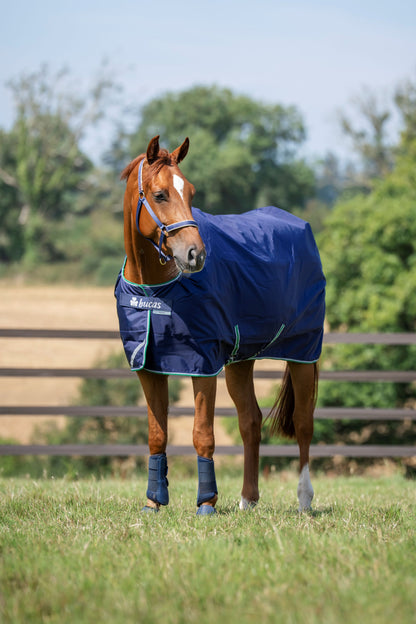Bucas Smartex Rain 0g Standad Neck Turnout Rug - Blue