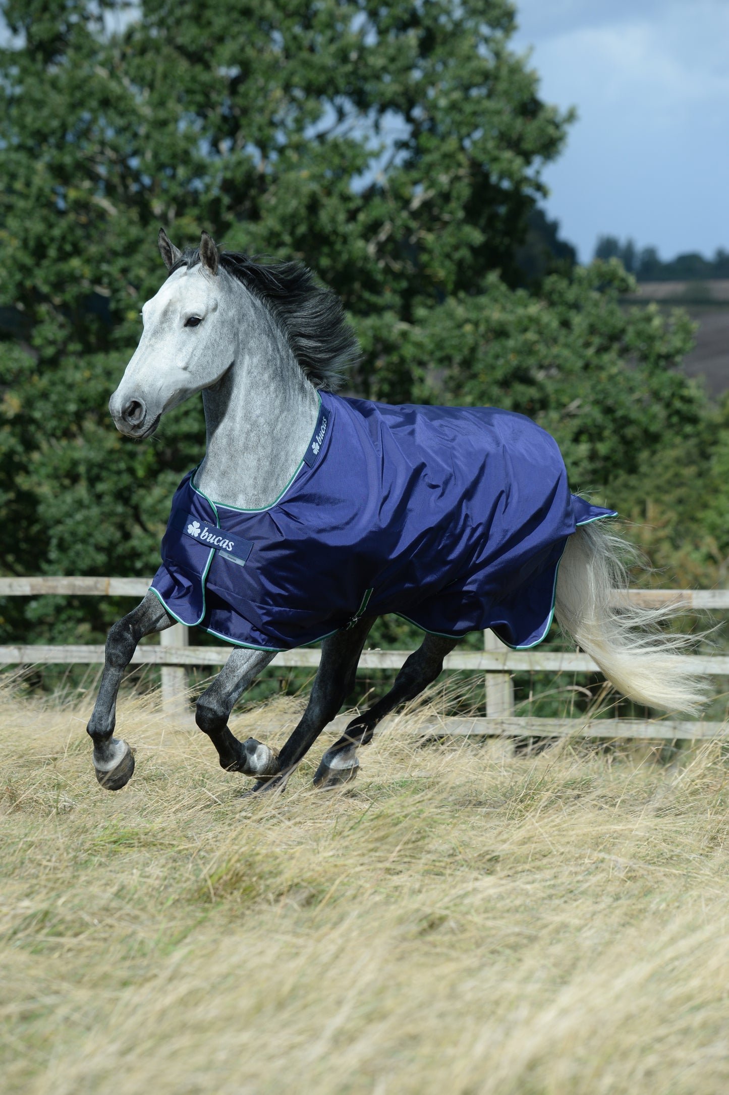 Bucas Smartex Medium 150g Standad Neck Turnout Rug - Blue