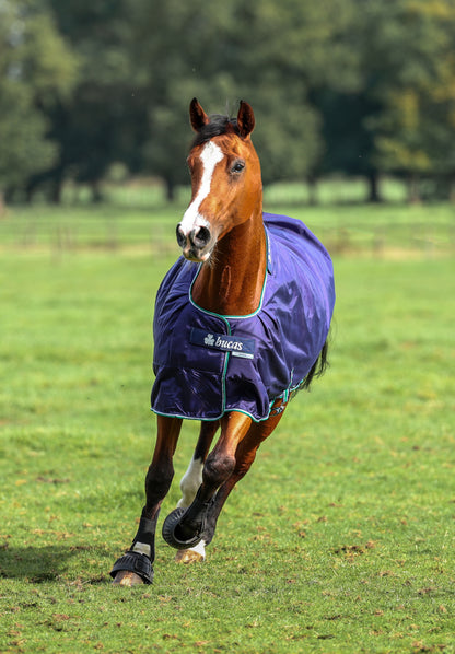 Bucas Smartex Rain 0g Standad Neck Turnout Rug - Blue