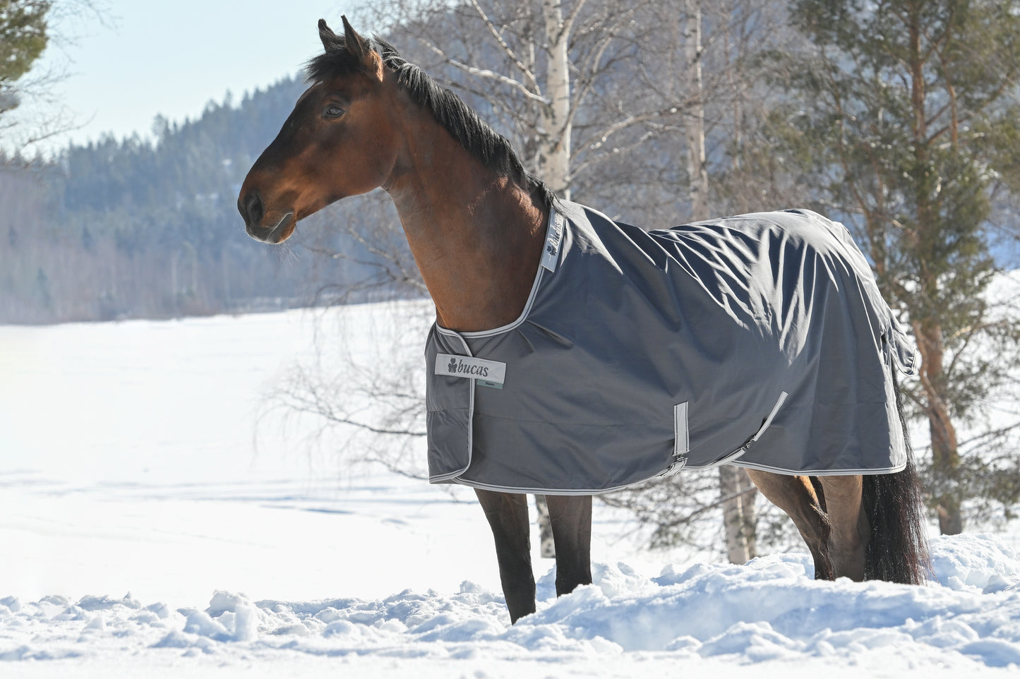 Bucas Smartex Extra 300g Standard Neck Turnout Rug - Iron Gate