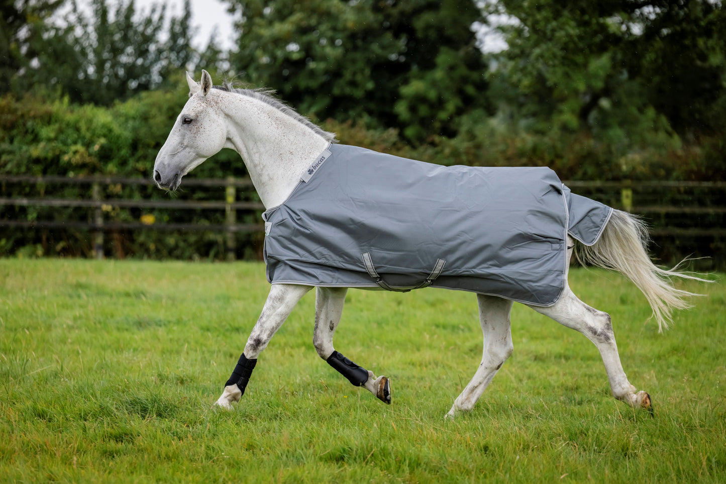 Bucas Smartex Rain 0g Standard Neck Turnout Rug - Iron Gate