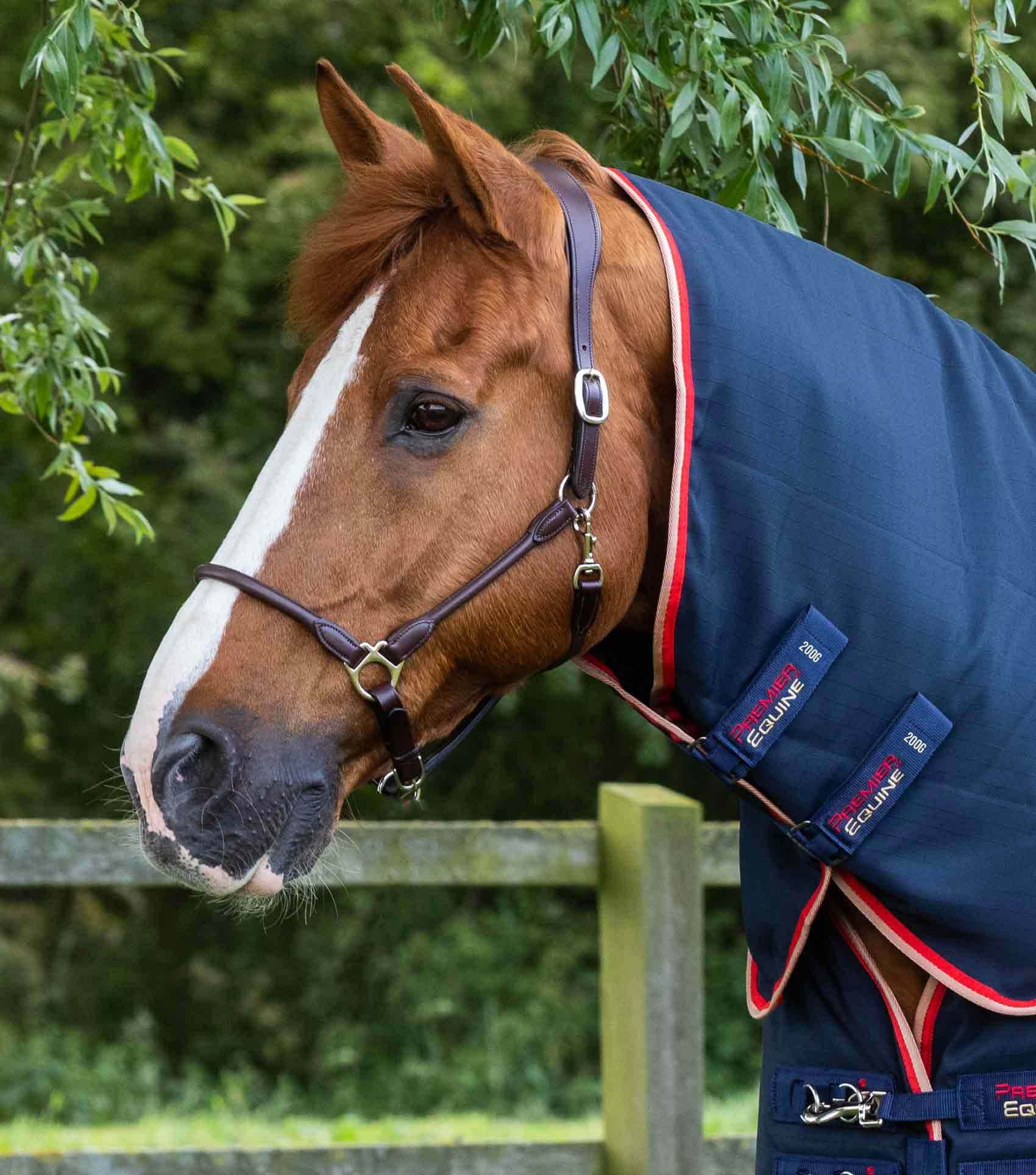 Premier Equine Stable Buster 200g Stable Rug with Neck Cover Navy - N P Equestrian & Pet Supplies Ltd 