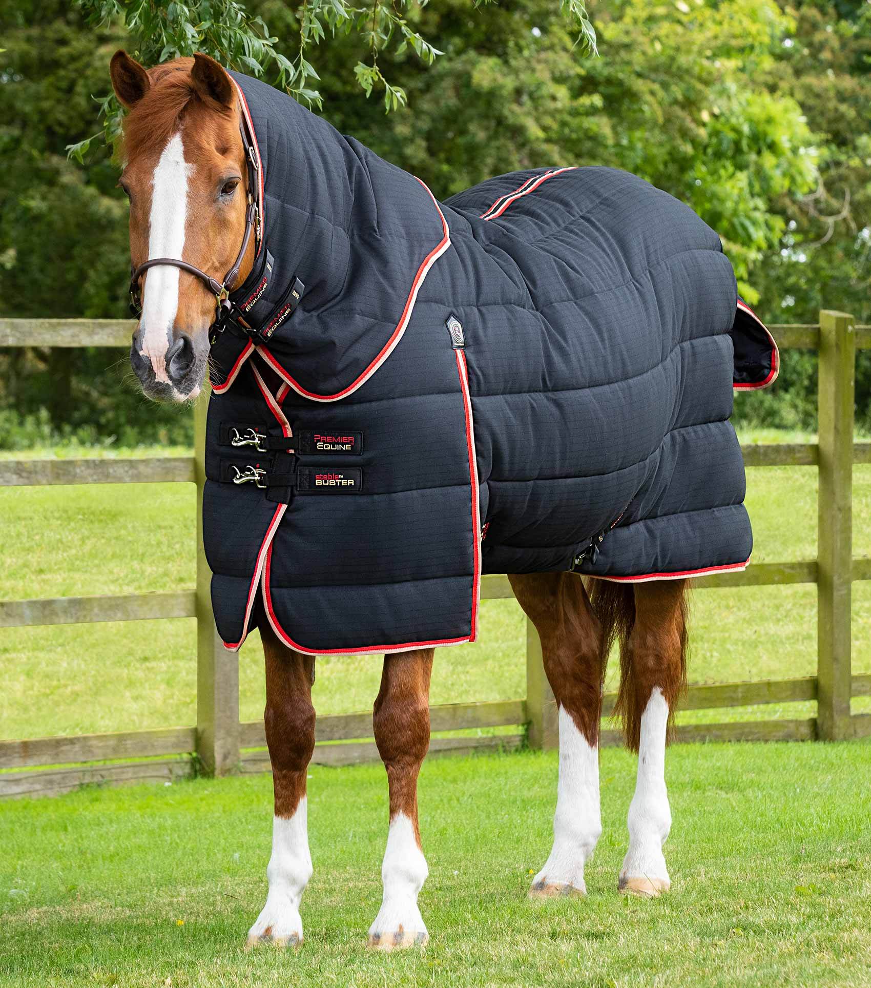 Premier Equine Stable Buster 450g Stable Rug with Neck Cover Black - N P Equestrian & Pet Supplies Ltd 